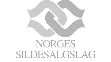Logo NSS hvit