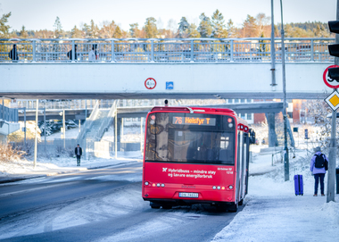 Vintersteming Bøler