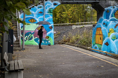 Sporveiskunst Frøen