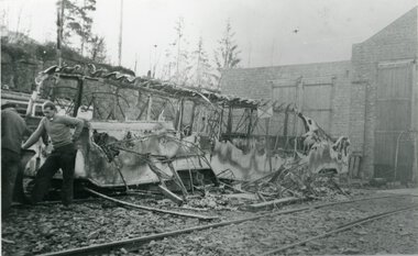 1054 	Utbrent Gullfisk 