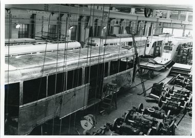 Gullfisk under bygging 4