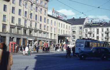 1083	Gullfisk ved Majorstuen.