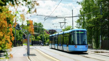 SL18 ved Dr. Smiths vei  sommer