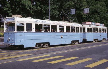 1082	Høkatog på Drammensveien ved Slottsparken