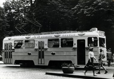 Kylling nr. 35 på Stortorvet