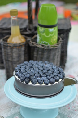 Ostekake med blåbær