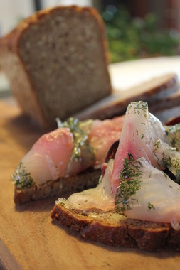 Rugbrød med gravet sik