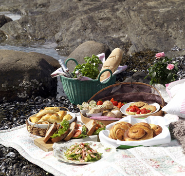 Piknik familien  opplysningskontoret for br  d og korn