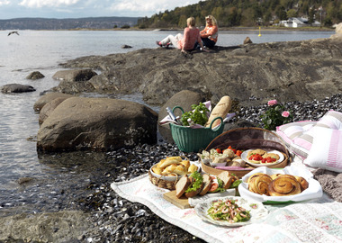 Piknik ved sjøen opplysningskontoret for br  d og korn
