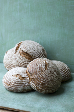 Mange grove surdeigsbrød