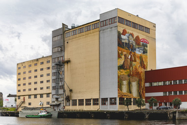 Kornets vei fra bonde til brød. Foto  Krister Sørbø  Brød   Korn