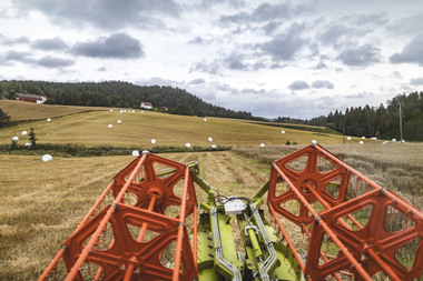Kornets vei fra bonde til brød. Foto  Krister Sørbø  Brød   Korn
