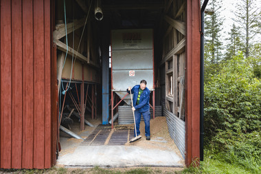 Kornets vei fra bonde til brød. Foto  Krister Sørbø  Brød   Korn