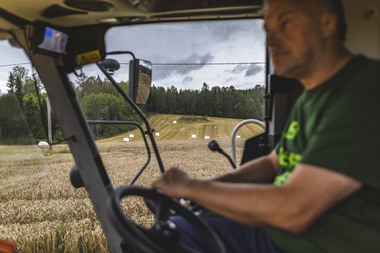 Kornets vei fra bonde til brød. Foto  Krister Sørbø  Brød   Korn
