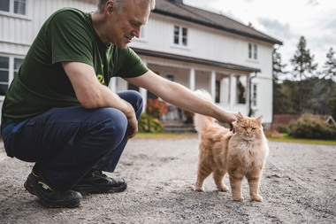 Kornets vei fra bonde til brød. Foto  Krister Sørbø  Brød   Korn