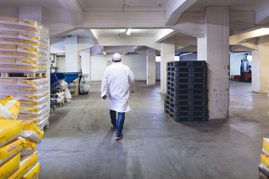 Kornets vei fra bonde til brød. Foto  Krister Sørbø  Brød   Korn
