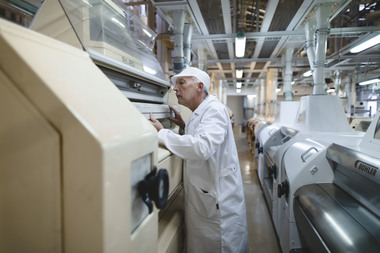Kornets vei fra bonde til brød. Foto  Krister Sørbø  Brød   Korn