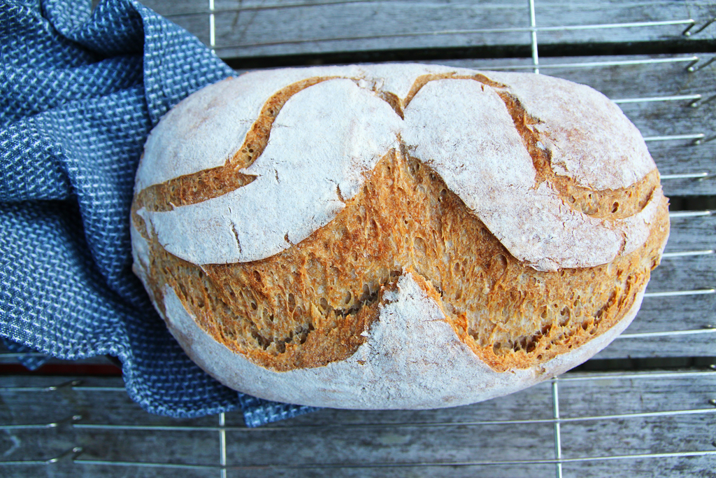 Bartebrød til Movember