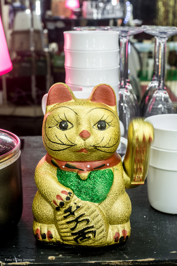 Natten er dagens mor