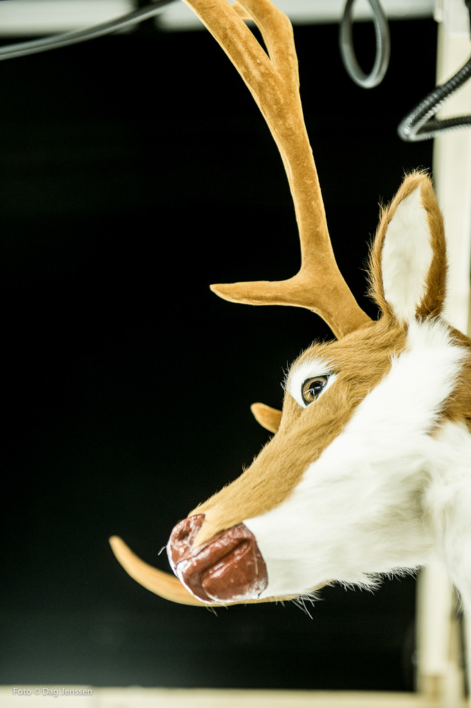 Natten er dagens mor