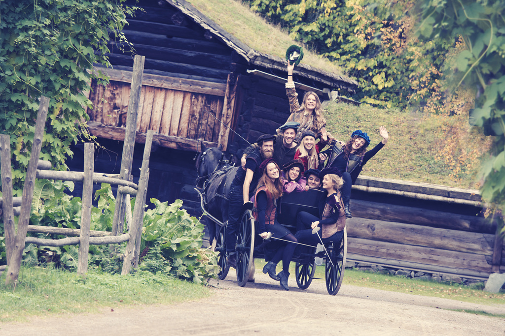 En midtsommernattsdrøm