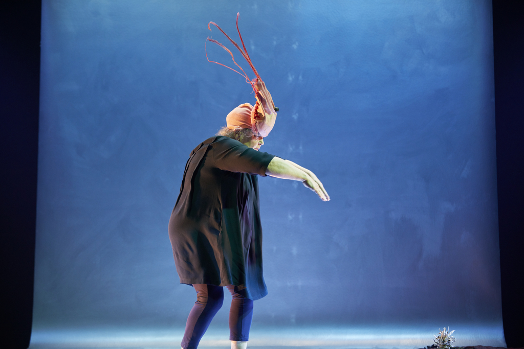 Jacobsen, værsågod!