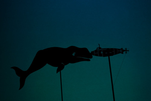 Jorden rundt på 80 minutter