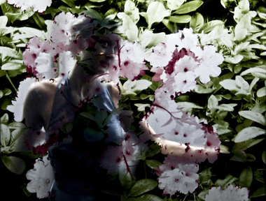 Sangen om den røde rubin