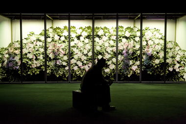 Sangen om den røde rubin