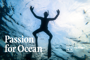 Skoleforedrag på Havboka