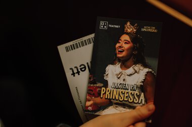 Jakten på Prinsessa