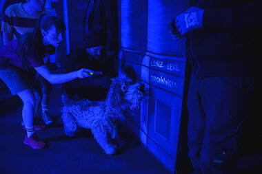 Detektivbyrå nr. 2 Operasjon teater