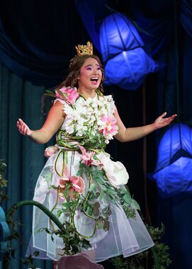 Jakten på Prinsessa