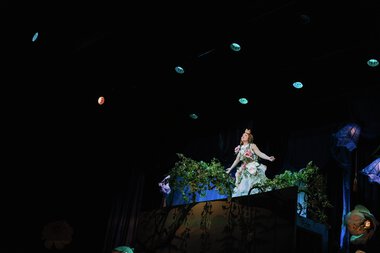 Jakten på Prinsessa