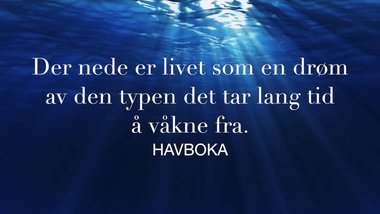 Havboka