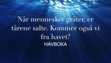 Havboka