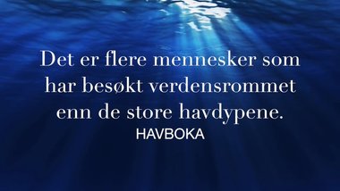 Havboka