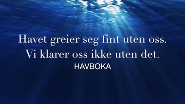 Havboka