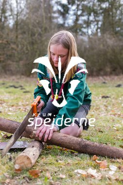 DYSTEN-_29A9957 - JOHNY KRISTENSEN.JPG