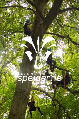 20170727_KAH_6031 (2).JPG