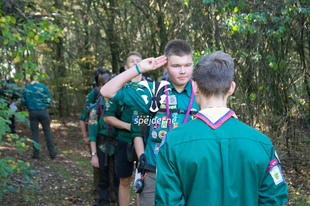 Diamant på Terp spejdercenter 2018