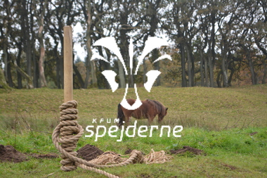 Diamant på Terp Spejdercenter 2018