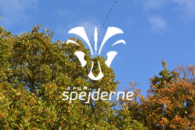 Diamant på Terp Spejdercenter 2018