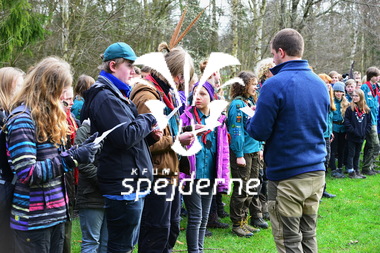 DM i spejder på Næsbycenteret 2016