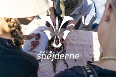 Åbning af Ungdomsøen