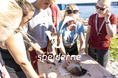 Åbning af Ungdomsøen