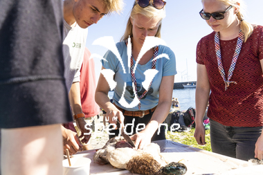 Åbning af Ungdomsøen