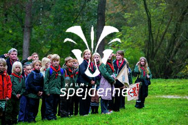 Bæver og ulve-turnering 