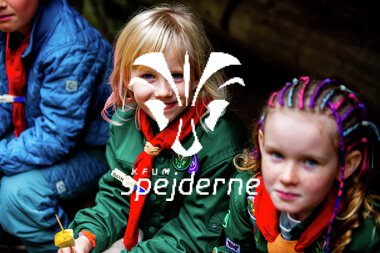 Bæver og ulve-turnering