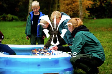 Bæver og ulve-turnering 